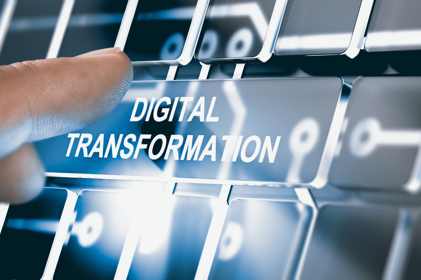 Start up and Digital Transformation
